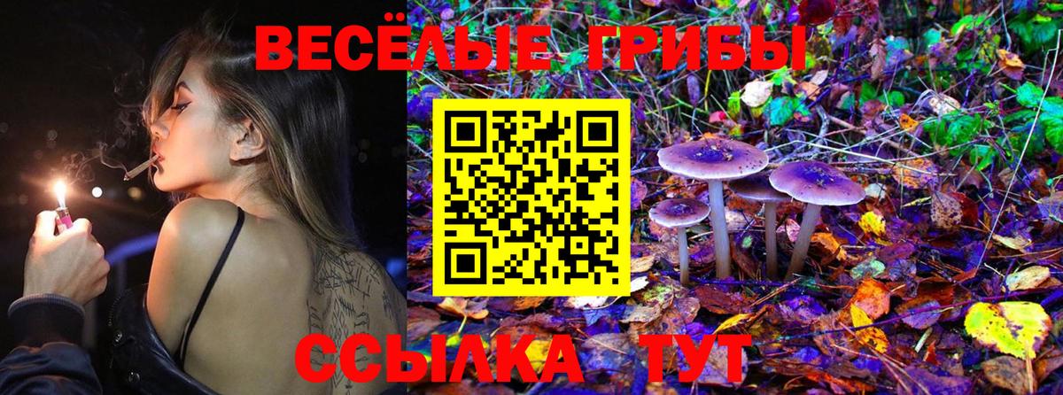 Мичуринск  Псилоцибиновые грибы Magic Shrooms  Вход с VPN  где найти наркотики  Галлюциногенные грибы прущие грибы 